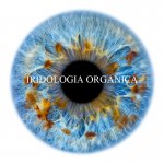 Iridologia Organica