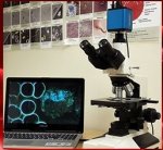 Microscopio Campo Oscuro