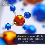 Immunocal