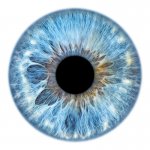 Iridologia Integrativa Master Clinica
